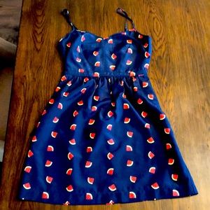 JCrew Navy Watermelon Slip Dress